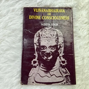 Vijnanabhairava Or Divine Consciousness JAIDEVA SINGH Softcover Book 1979 HTF - Foto 1 di 7