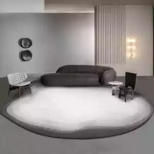 Living Room Plush Carpet Irregular Rugs Bedroom Oval Lounge Rug Soft Floor Mat - Picture 1 of 33