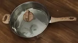 Padella Bergner 4 Qt Acciaio Inox 11,5 Pollici Manici Venatura Legno e Coperchio Vetro - Foto 1 di 6
