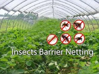 Agfabric Wider As Needed 20'-W X 20'-L Mosquito, Garden Bug Insect Netting,Insect Barrier Bird Net Barrier Hunting Blind Garden Netting (647971930136)