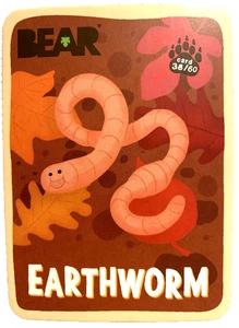 BEAR Fruit Snacks Collectible Animal Trading Cards - EARTHWORM Card #38/60 - Picture 1 of 6