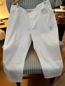 NWT..SOFT SURROUNDINGS Supremely SoFt Denim Pull On Skinny Ankle Jean (2X) - Picture 1 of 9