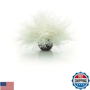 biOrb Giglio di Mare Bianco - Foto 1 di 5