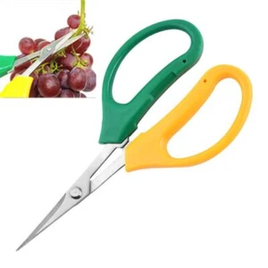 Pruners Garden Scissors Sharp Grape Scissors Pruning Shears Pruners - Picture 1 of 12