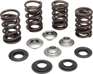 Kibblewhite Completo Valvola Molla Kit Con Acciaio HT Retainers 20-20081 - Foto 1 di 1