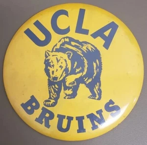 Vintage UCLA Bruins Bear Pin Back Button Large 6 Inches yellow blue gold Angeles - Picture 1 of 3