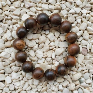 16 mm Brazalete Gaharu Buaya Gaetoxilon Madera de Agar 14 Cuentas Olor Bonito #50 - Imagen 1 de 4