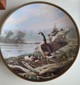 Proud Passage Collection At The Nest 3504A  by Alan Barnard - Picture 1 of 3