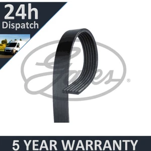 Gates V-Ribbed Belts Fits Mini Hatchback Mini Clubman 5 Year Warranty G3489 - Picture 1 of 7