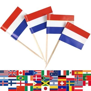 Netherlands Toothpick Flag Holland Mini Small Dutch Cupcake Topper Flags 100 pcs - Picture 1 of 4