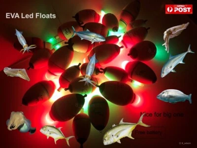 LED Light Fishing Float Electric Glowing Bobber Squid Kingfish Mulloway Snapper - image 1 of 4