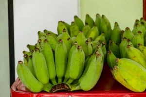 Fresh Organic Green Plantain Bananas by RawJoy Farms - Picture 1 of 2