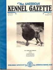 Vintage American Kennel Gazette June 1938 Poodle Cover
