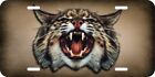 Bobcat Lynx Wildcat Cat Wildlife Animal Aluminum Car License Plate Tag Lp755