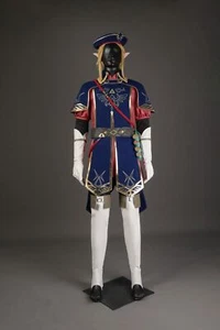 The Legend of Zelda: Tears Of The Kingdom Link Royal Guard Uniform S-3XL - Picture 1 of 24