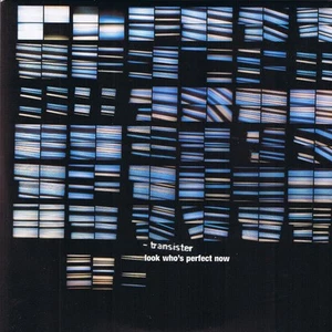 Transister - Look Who's Perfect Now, (CD) - Bild 1 von 1