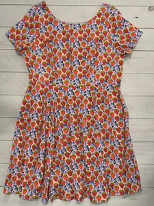 Eva Rose Cap Sleeve Dress Strawberry Blueberry Print Retro Full Skirt Pockets 2X - Picture 1 of 16