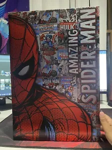 RARE Amazing Spider-Man Metallic Canvas Art - Picture 1 of 1