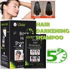 10-20Pcs Dexe Hair Dye Shampoo Instant 5Min Black White Become Black Hair Color