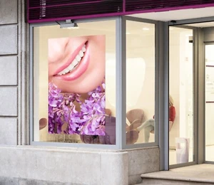3D Dentist Clinic Dental G363 Window Stickers Vinyl Wall Mural Decals Honey - Picture 1 of 11