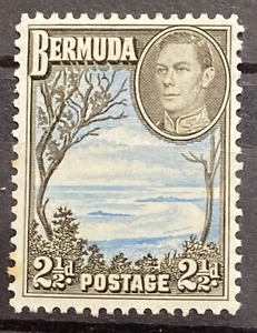 BERMUDA - 1938 KGVI 2 1/2D PALE BLUE & SEPIA-BLACK LMM SG 113B - Picture 1 of 1