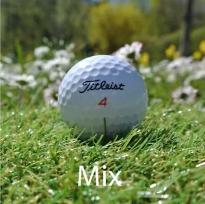 Titleist Mix Golfbälle / Lakeballs AAA - 50 Stück + 20 Tees gratis - Bild 1 von 1