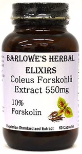 Coleus Forskohlii Extract | 10% Forskolin | High Potency, Stearate-Free - Picture 1 of 6