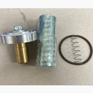 Kit de reparación de válvula de retención de presión mínima Ingersoll Rand 37956075 - Imagen 1 de 2