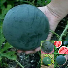 Watermelon Sugar Baby 10+seeds Sweet Fast Maturing Grow Bulk Vegetables