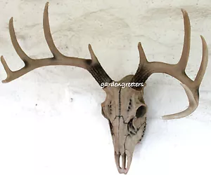 HIRSCHKOPF Schädel Wandhalterung Hirsch 8 PUNKT BUCK SCHÄDEL WANDHALTERUNG STATUE - Bild 1 von 5