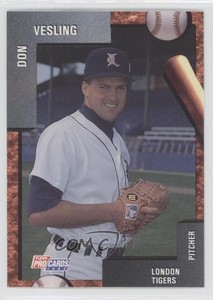 1992 Fleer ProCards Minor League Don Vesling #632