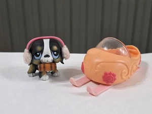 💕Littlest Pet Shop Black St BERNARD Dog w/Snowmobile #145 RARE! AUTHENTIC! 💕 - Picture 1 of 4