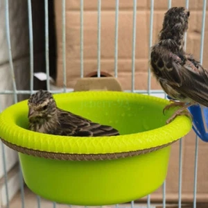 HOT Multi-Function Caged Bird Bath Bird Cage Parrot Supplies Bathing Tub Canary - Picture 1 of 12