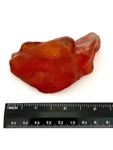 Natural Blood Red Baltic Amber Specimen - 47.61g - Picture 1 of 2