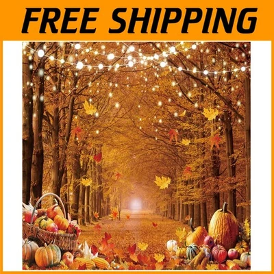 秋季枫树森林摄影背景 — 第 1/4 张图片