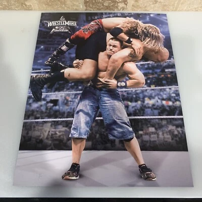 "Impresión de póster de la WWF WWE John Cena Wrestlemania 25 25th Pro Wrestling 11"" x 14"" 2009" Foto 1 de 3