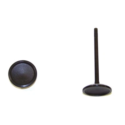 DNJ IV4149 Engine Intake Valve For Select 00-16 Ford Mercury Models - Image 1 of 4