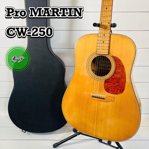 Electric Acoustic Guitar Pro Martin W250 Model 1970s Specially