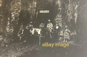 Unique ca.1900 California Photo: GENERAL SHERMAN Sequoia Redwood Tree & Party - Bild 1 von 3
