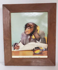 Bonzo le chimpanzé sur une intuition, achetez 100 actions de Monkey Ward Wall Street Journal