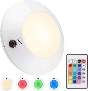 Battery Powered Ceiling Light with Remote, Indoor LED Ceiling Light Fixtures, Wi - Picture 1 of 12