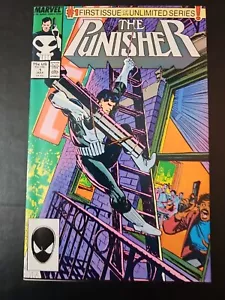 Punisher #1 - Picture 1 of 6