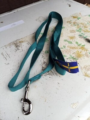 6' Pet Leash Teal - Image 1 of 4