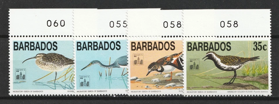 1994 年巴巴多斯 Sc# 861-64 - 迁徙鸟类。 MNH 套装 Cv$9.60 — 第 1/1 张图片
