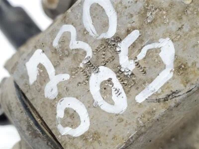 Pinza de freno trasera izquierda OEM 2014 15 16 17 18 19 2020 Ford Transit Connect Foto 1 de 4