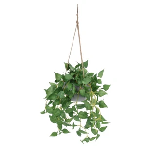 Simulated Potted Green Radish Artificial Vine Decoration Hanging Fake Plants - Picture 1 of 12