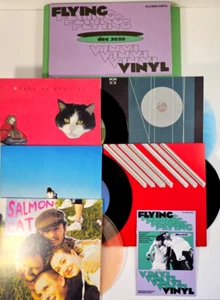 Flying Vinyl Dezember 2020 Boxset 5 x 7" Indie Rock Vinyl Schallplatten mit Booklet - Bild 1 von 10