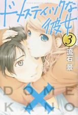 Domestic Girlfriend 3 Manga Japanese Comic Book Kei Sasuga