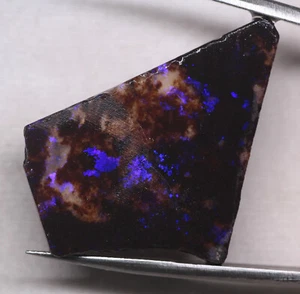 Australia Natural ANDAMOOKA MATRIZ DURA ÓPALO Corte Áspero 18.10cts - Imagen 1 de 8