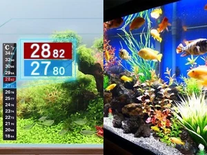 10X Pegatinas Autoadhesivas Termómetro Pantalla Digital LCD para Cervecería, Acuario - Imagen 1 de 4